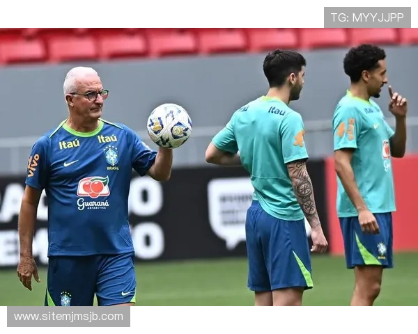 巴西世界杯英文报道的最新动态与新闻分析