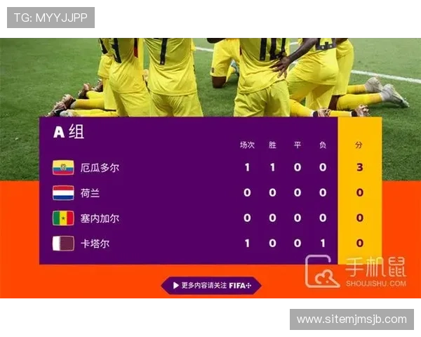 如何在线观看世界杯预选赛欧洲区比赛，直播平台全解析