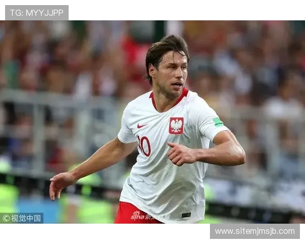 世界杯最佳射手的统计方法和评选依据详尽分析指南