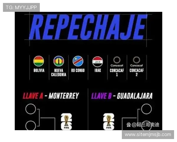 已经晋级2026世界杯的国家是2026年世界杯参赛国家详细名单及晋级资格分析