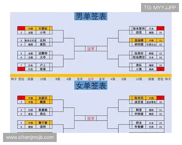 掌握世界杯淘汰赛上下半区的比赛规则与晋级规则帮助你更好预测结果