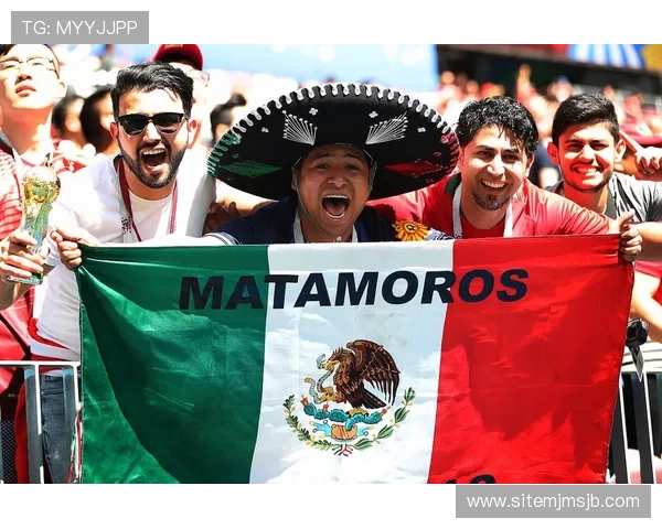 美加墨世界杯南美洲名额分配原则及未来趋势预测全面解读