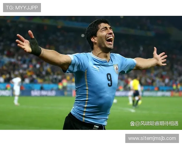 足球世界杯回放全场集锦，重温每一场激烈对决的精彩瞬间